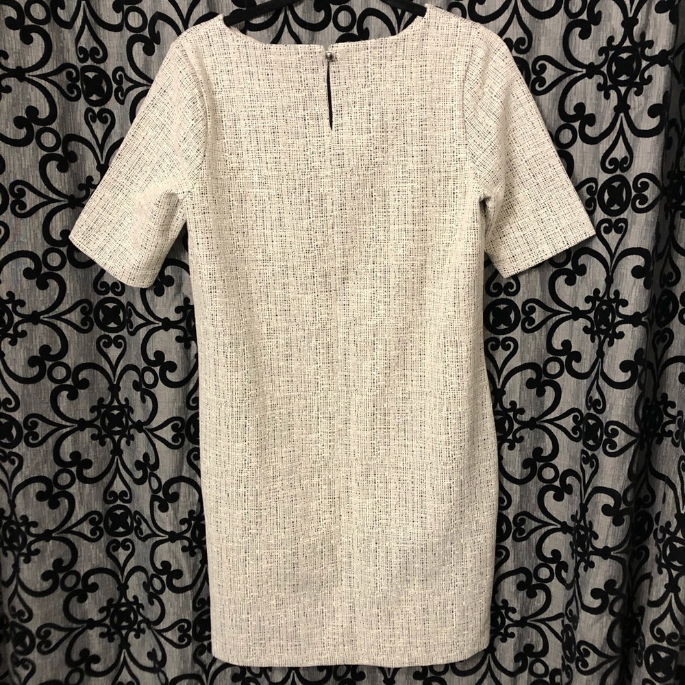 Banana Republic Shift Dress - Picture 4 of 6